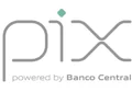 Pix logo bônus online